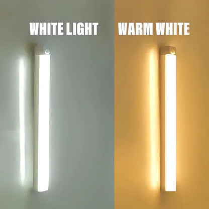 LED Light